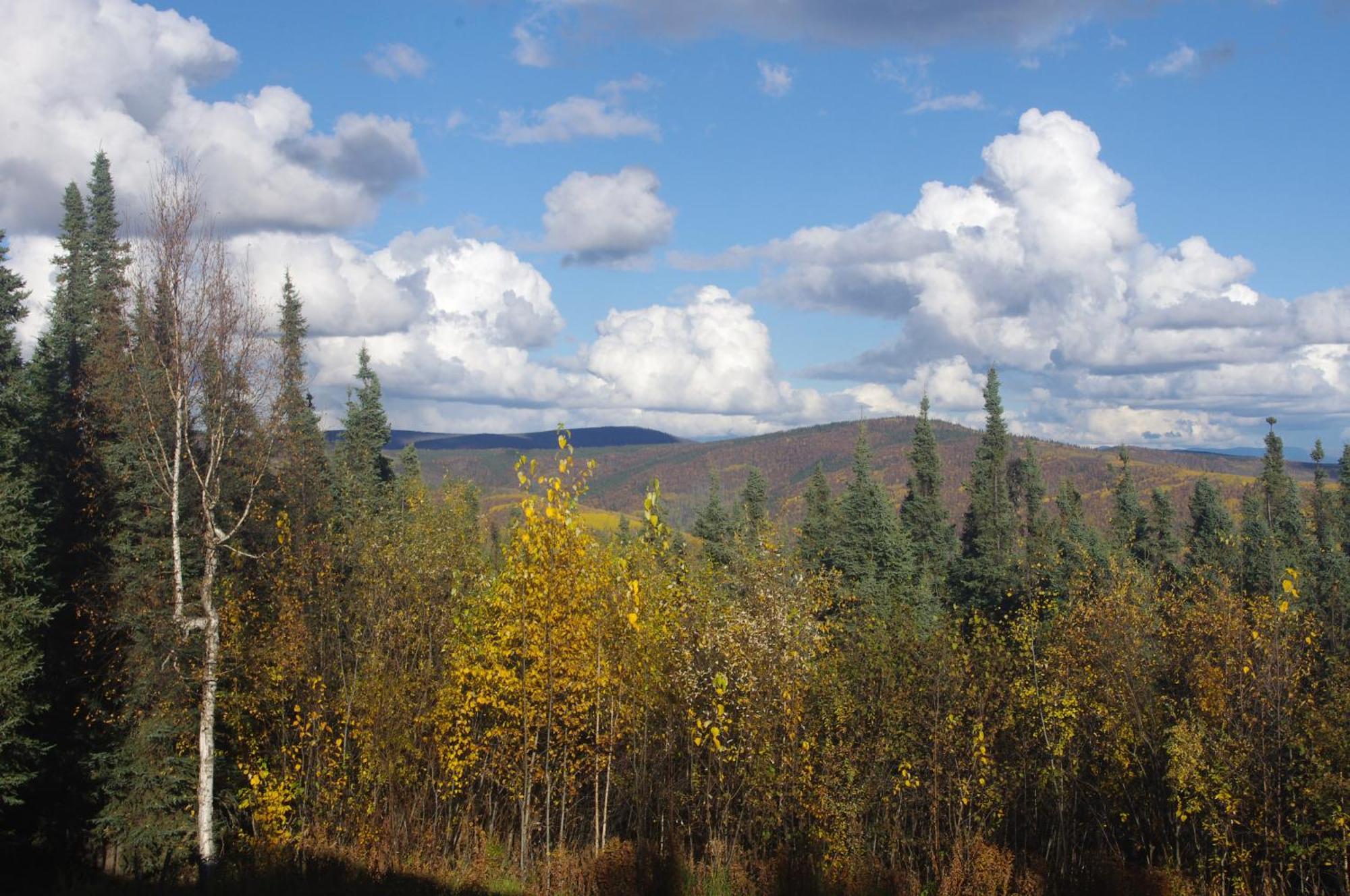 Aurora Viewing Deck And Peaceful Retreat Apartment Fairbanks Exterior photo